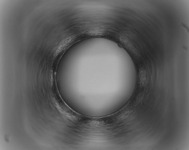 X0000101200494200807111013