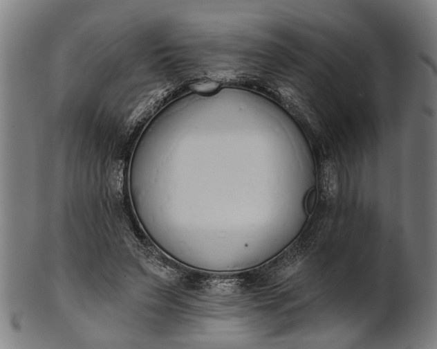 X0000101200495200807111013