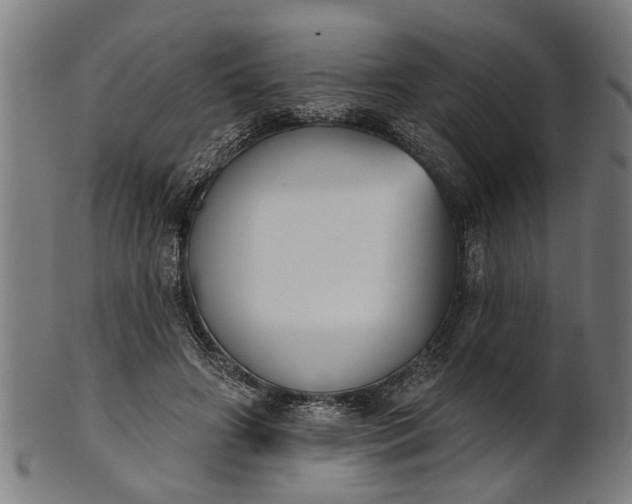X0000101200498200807111013