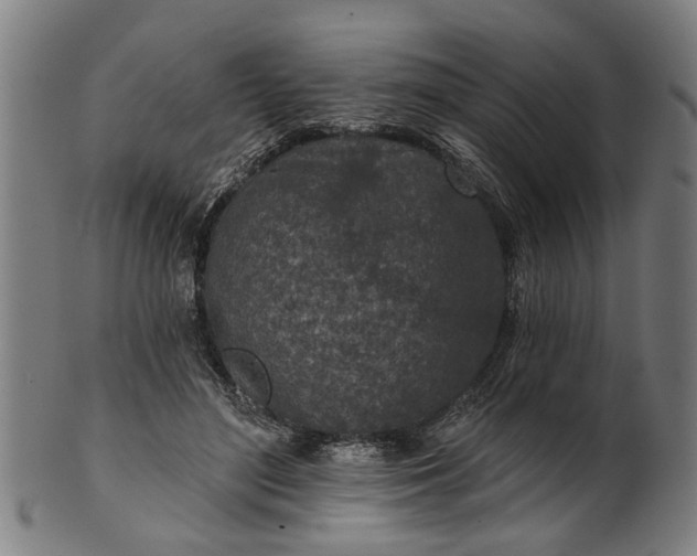 X0000101200500200807111013