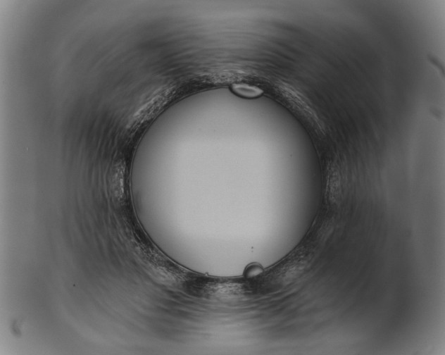 X0000101200501200807111013
