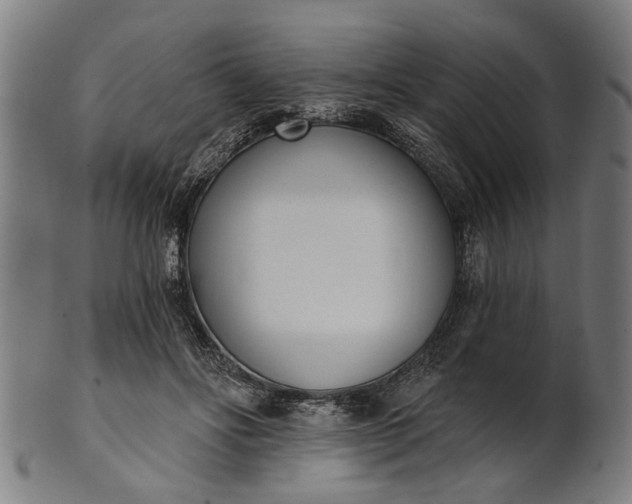 X0000101200502200807111013