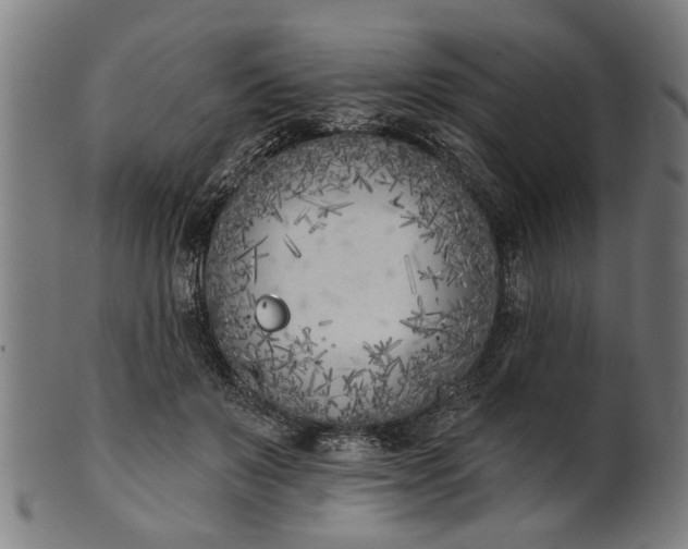 X0000101200503200807111013