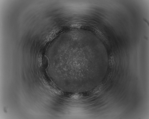 X0000101200504200807111013