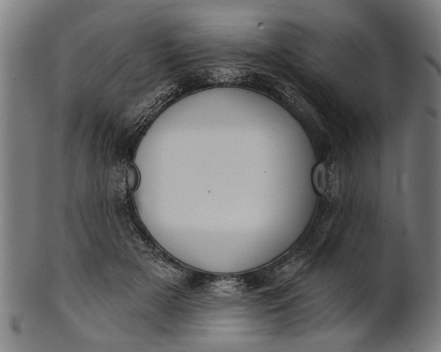 X0000101200505200807111013