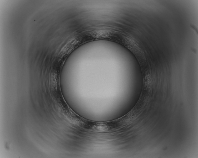 X0000101200506200807111013