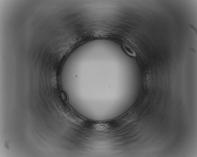 X0000101200508200807111013