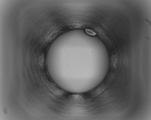 X0000101200509200807111013