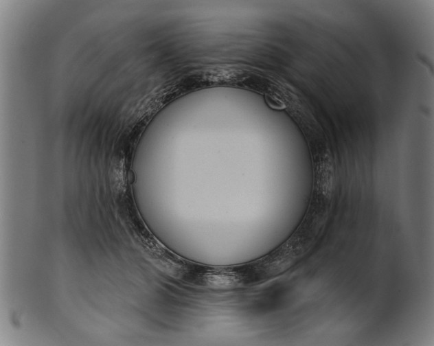 X0000101200510200807111013