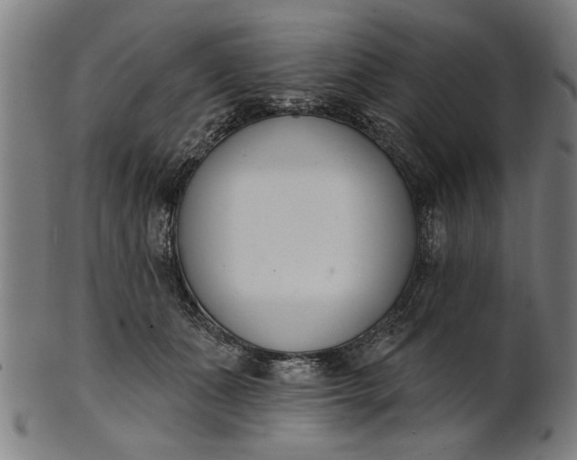 X0000101200511200807111013
