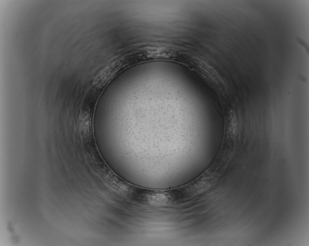 X0000101200513200807111012
