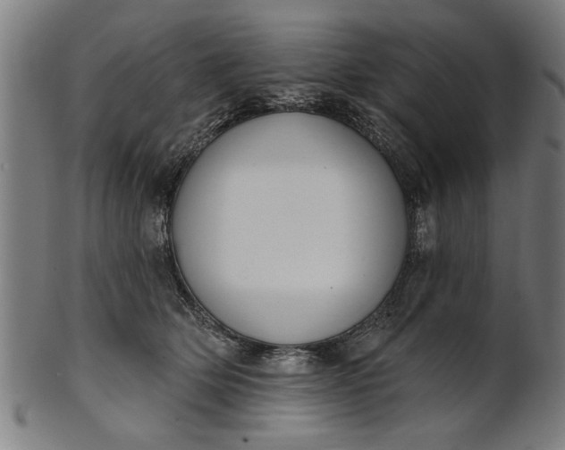 X0000101200514200807111012
