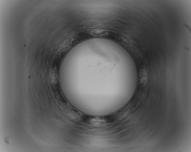 X0000101200515200807111012