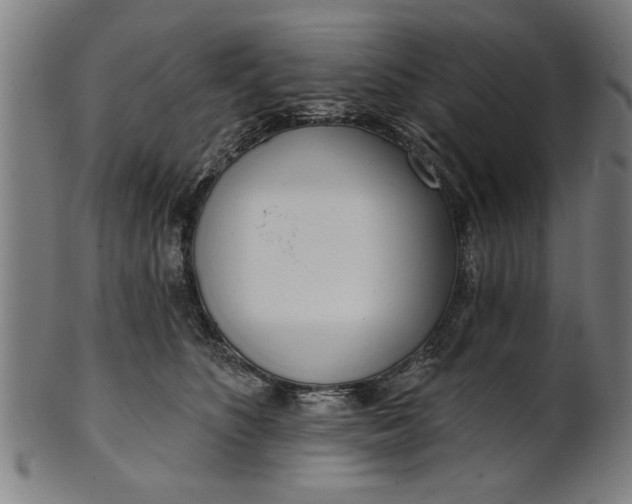 X0000101200516200807111012