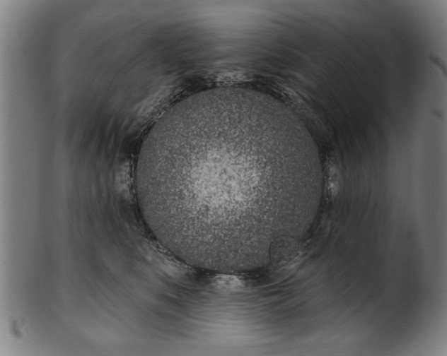 X0000101200519200807111012
