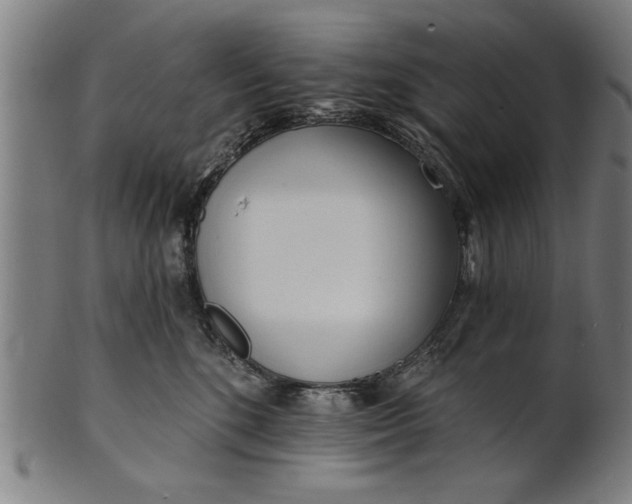 X0000101200520200807111012