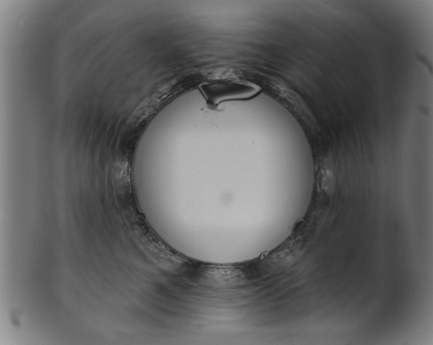 X0000101200521200807111012