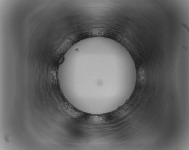 X0000101200522200807111012