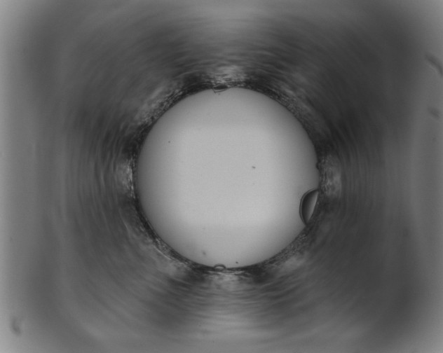 X0000101200523200807111012