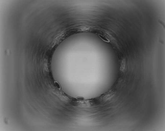 X0000101200524200807111012