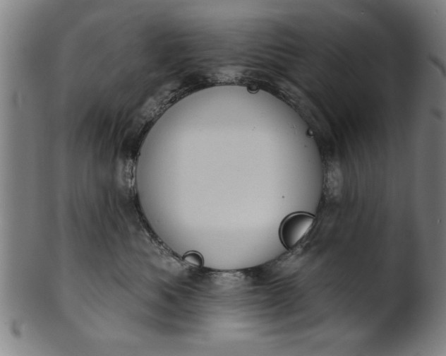 X0000101200525200807111012
