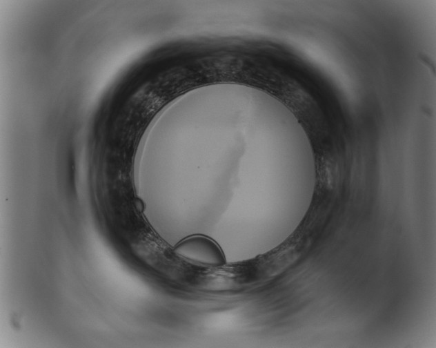 X0000101200526200807111012