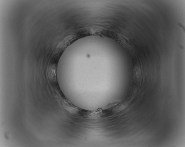 X0000101200527200807111012