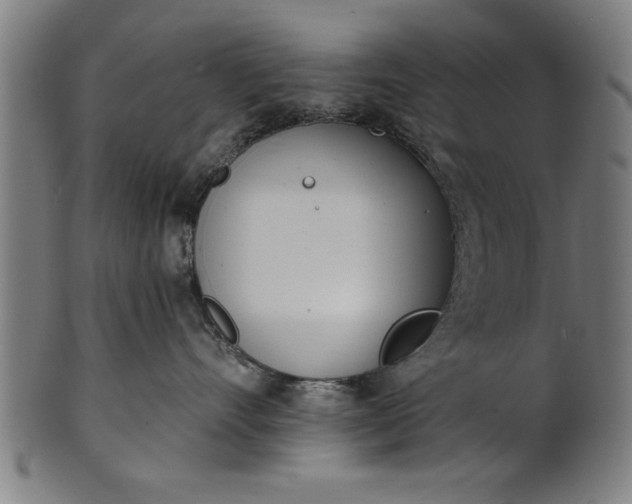 X0000101200528200807111012