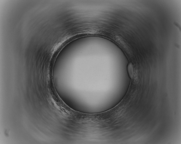 X0000101200532200807111011
