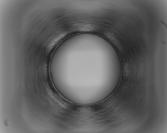 X0000101200535200807111012