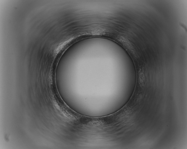 X0000101200536200807111012