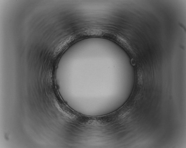 X0000101200538200807111012