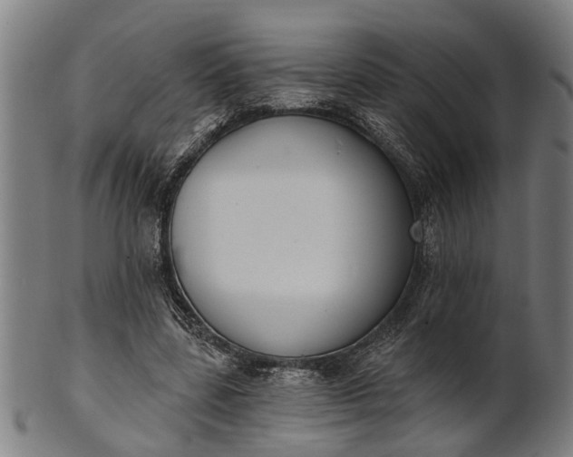 X0000101200539200807111012