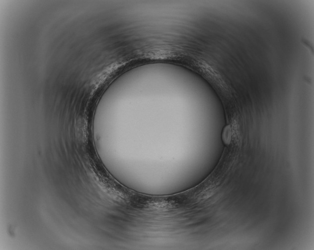 X0000101200540200807111012