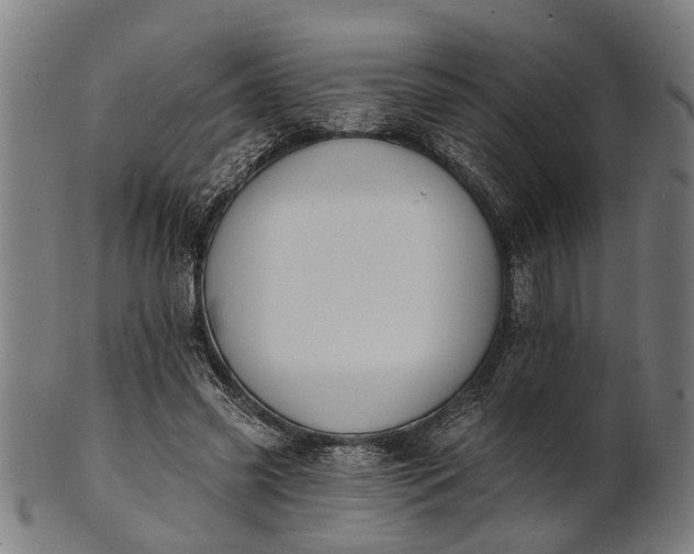 X0000101200541200807111012