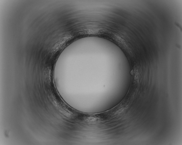 X0000101200542200807111012
