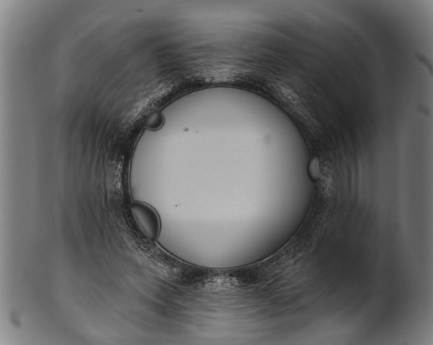 X0000101200543200807111012