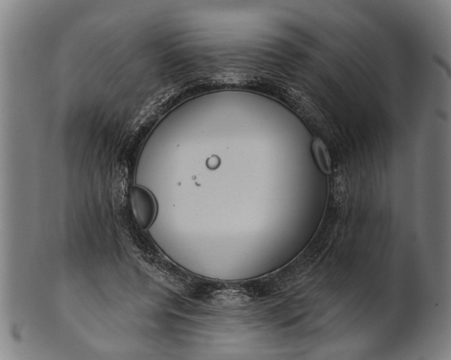 X0000101200544200807111012