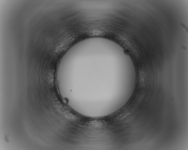 X0000101200545200807111012