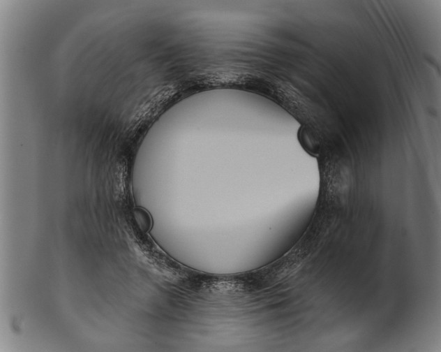 X0000101200546200807111012