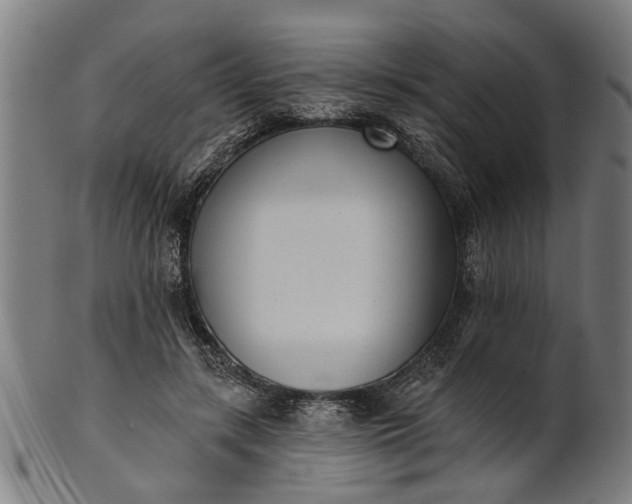 X0000101200547200807111012