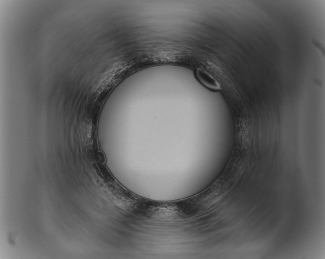 X0000101200548200807111012