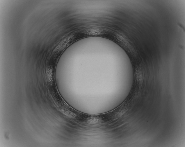 X0000101200549200807111012
