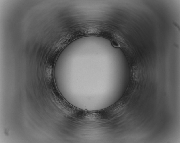 X0000101200550200807111012