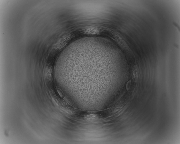 X0000101200551200807111012