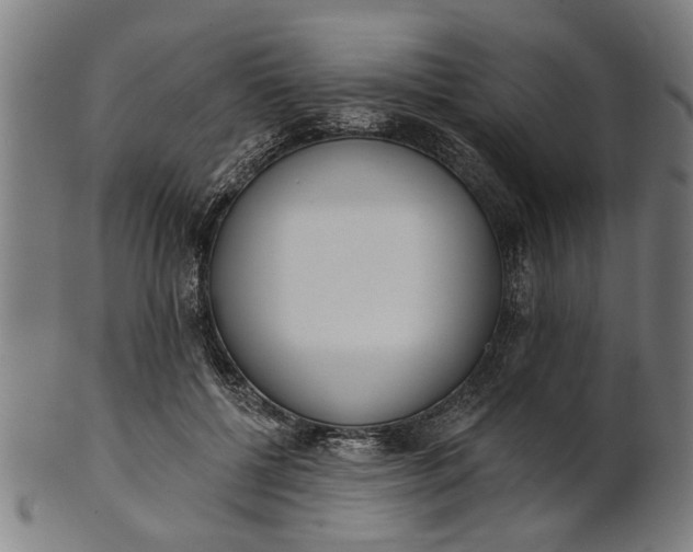 X0000101200552200807111012