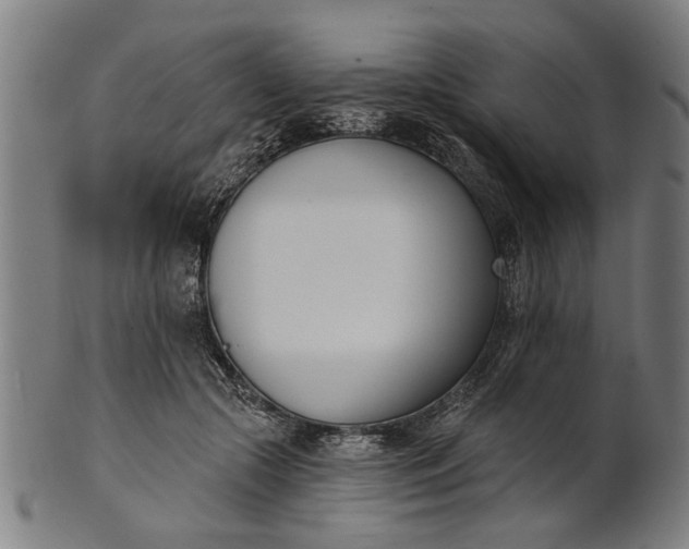 X0000101200553200807111012