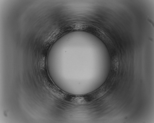 X0000101200554200807111012