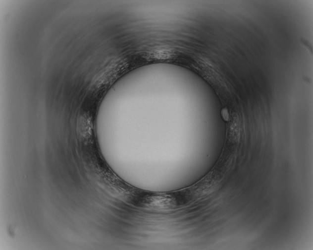 X0000101200555200807111012