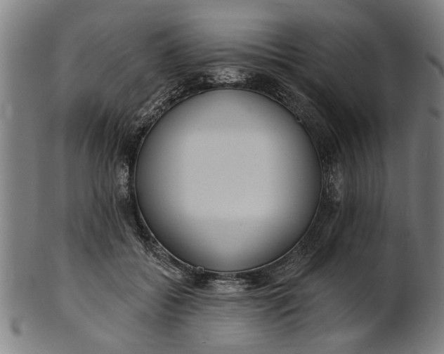 X0000101200556200807111012